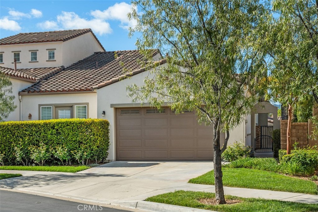 23741 Spruce Meadow Court