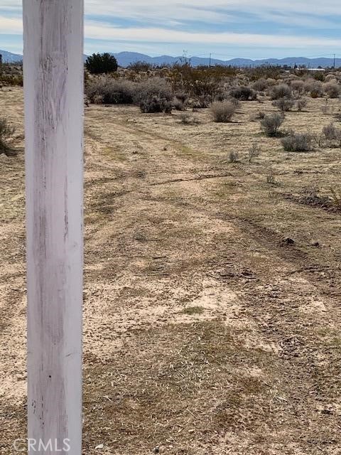 Mountain view in the rear