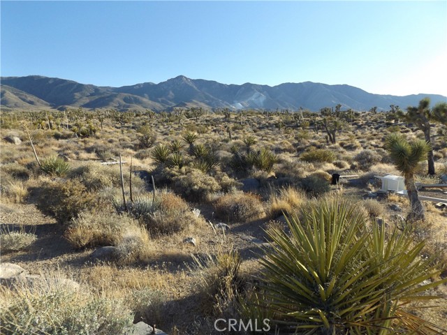 Detail Gallery Image 9 of 10 For 15 Tate Ln, Lucerne Valley,  CA 92356 - – Beds | – Baths
