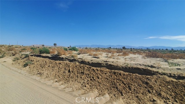 Front Image Thumbnail for CRSR26118278