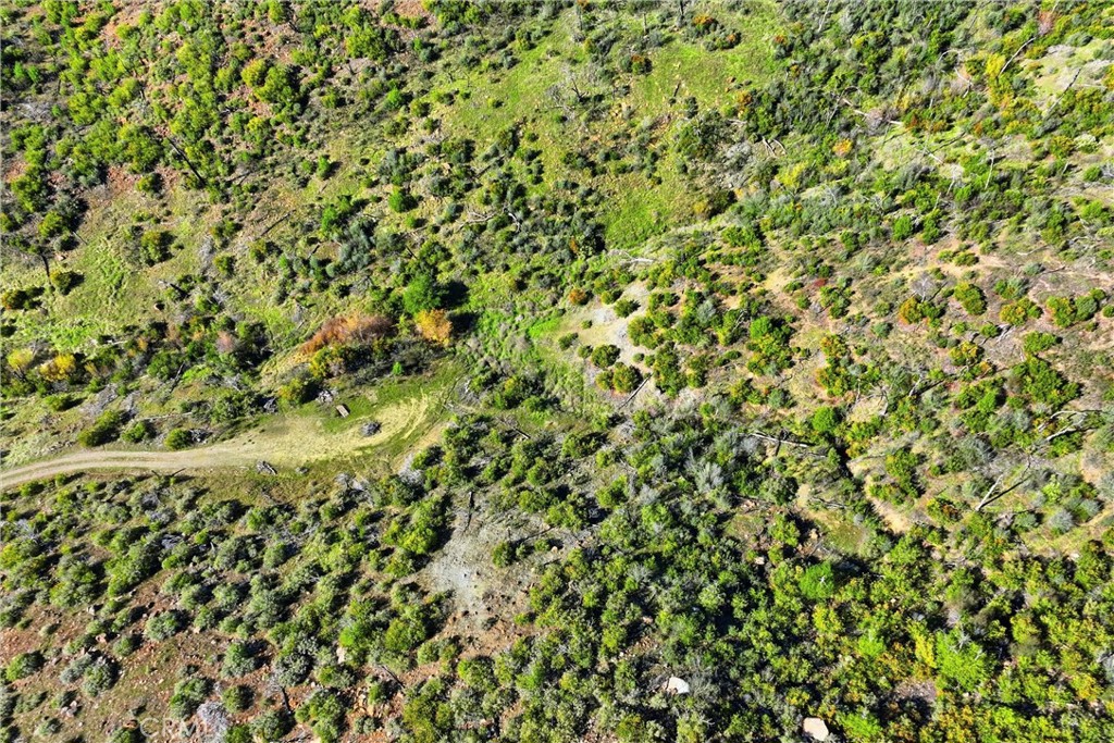 MLS #LC25273256 image #21