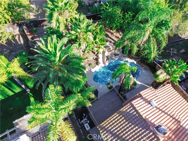 Image 64 of 66 For 39270 Corte Pluma