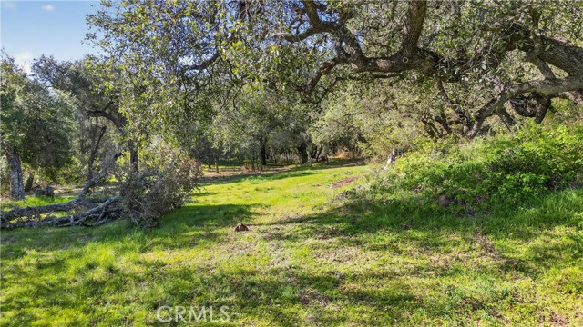 0 Avenida Perla Bonita, Murrieta CA: https://media.crmls.org/medias/30edcc59-65ca-4236-832e-6becf6767490.jpg