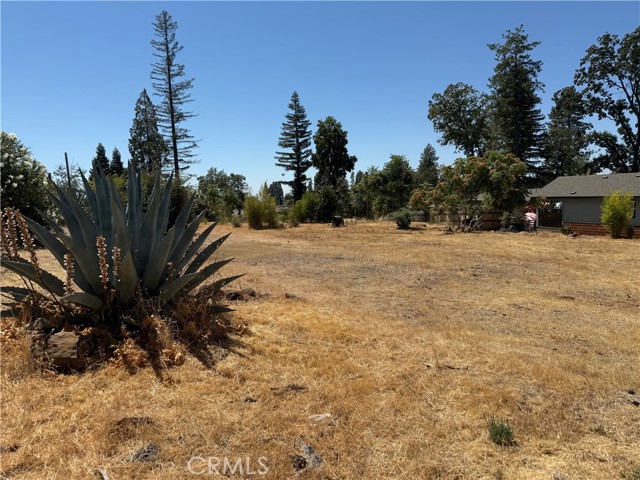 5797 Inez Way, Paradise CA: https://media.crmls.org/medias/30f02dc0-0d75-4e84-b0a3-8824dda1273c.jpg
