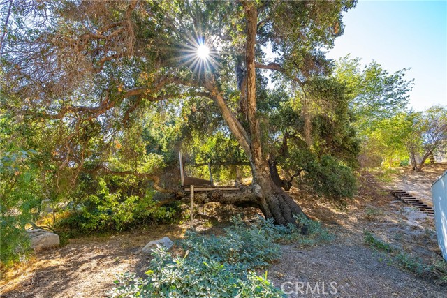 Detail Gallery Image 36 of 47 For 8344 Soledad Canyon Rd, Acton,  CA 93510 - 2 Beds | 2 Baths