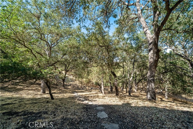 9055 Junipero Avenue, Atascadero CA: https://media.crmls.org/medias/30f561a0-36d8-4a3d-9ea2-a8fbe8b6868d.jpg