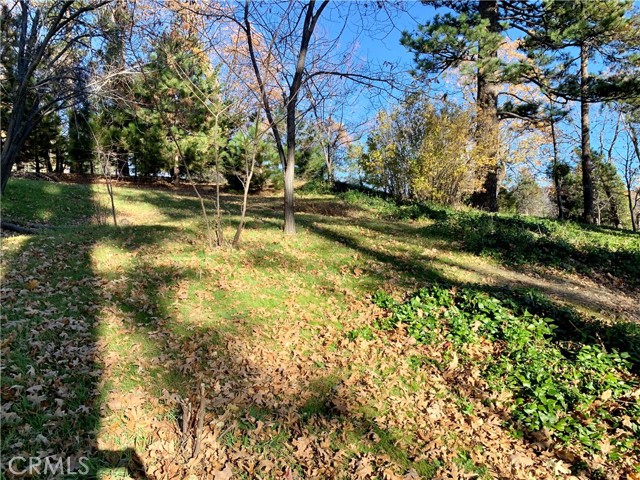 Detail Gallery Image 11 of 21 For 40 Park, Running Springs,  CA 92382 - – Beds | – Baths