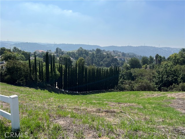 2182 Indian Creek Road, Diamond Bar, California 91765, ,Land,For Sale,2182 Indian Creek Road,CRTR23178457