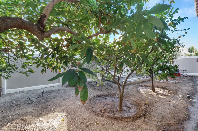 Detail Gallery Image 40 of 42 For 8449 Monique Ct, Riverside,  CA 92508 - 4 Beds | 3 Baths