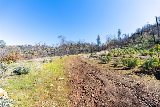 0 Big Ridge Road, Berry Creek CA: https://media.crmls.org/medias/3103f120-a0b2-4e24-a4c5-9efcaa66720d.jpg