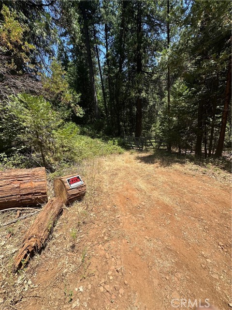 0 Slalom Lane, Pollock Pines CA: https://media.crmls.org/medias/3107131e-4533-4f3b-8c63-12efe00142f9.jpg
