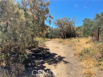 0 Rosamond, Anza, California 92539, ,Land,For Sale,0 Rosamond,CRSW24034432