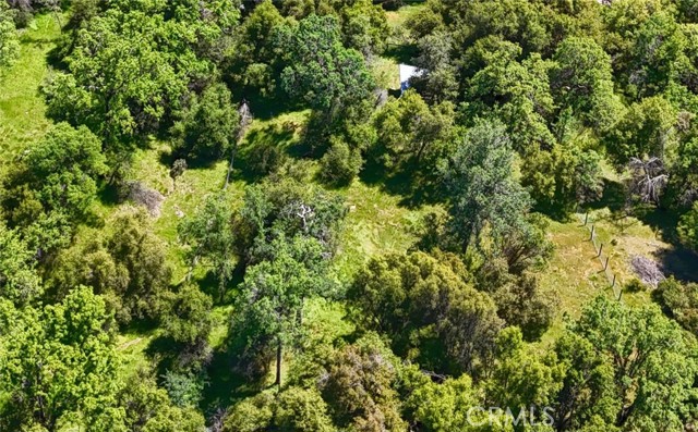 Detail Gallery Image 40 of 54 For 42275 Buckeye Rd, Oakhurst,  CA 93644 - 4 Beds | 2/1 Baths