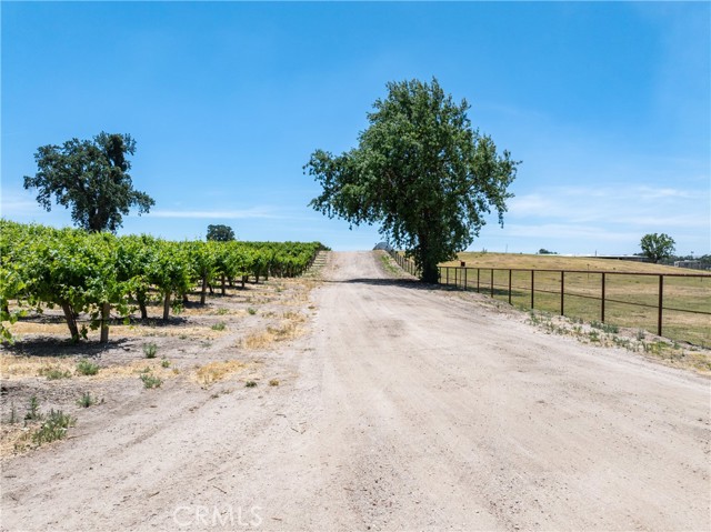 Detail Gallery Image 29 of 33 For 5275 Camp 8 Rd, Paso Robles,  CA 93446 - 12 Beds | 7/1 Baths