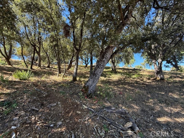 5710 Clouds Rst, Mariposa CA: https://media.crmls.org/medias/3118c18f-d8cc-4452-93db-26bc32807e09.jpg