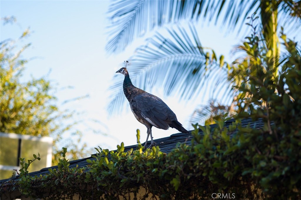 https://media.crmls.org/medias/3130ddb2-7791-454b-92ac-efffa763dd3e.jpg?preset=X-Large