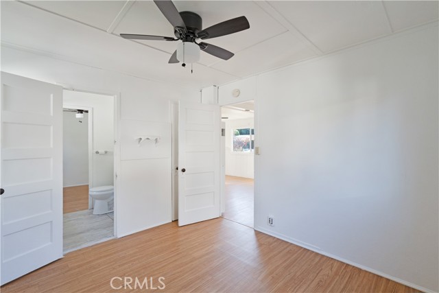 335 Wolff photo 14