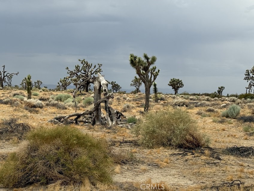 MLS #SR26165095 image #63