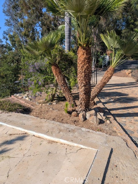 Front Image Thumbnail for CRIV25252255