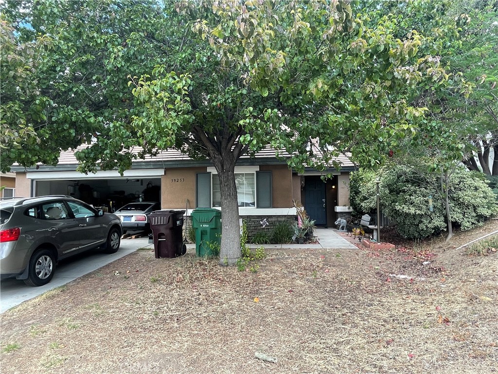 39253 Cayman Court