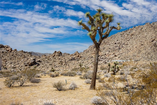 Detail Gallery Image 37 of 43 For 63257 Wagon Wheel Rd, Joshua Tree,  CA 92252 - 4 Beds | 2 Baths