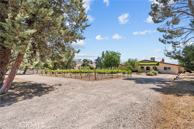 39662 86th W Street, Leona Valley CA: https://media.crmls.org/medias/31492cea-bc9a-4d76-a375-0023b57b540f.jpg