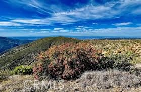 Detail Gallery Image 56 of 58 For 4515 Garden City, Corona,  CA 92883 - 5 Beds | 3 Baths