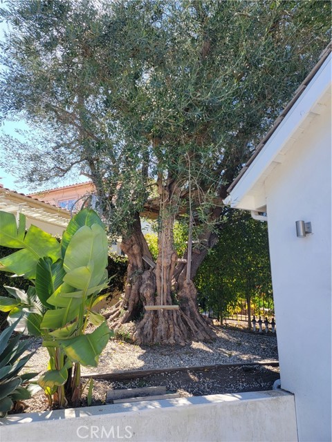 Detail Gallery Image 53 of 54 For 1024 Granvia Altamira, Palos Verdes Estates,  CA 90274 - 5 Beds | 4/2 Baths