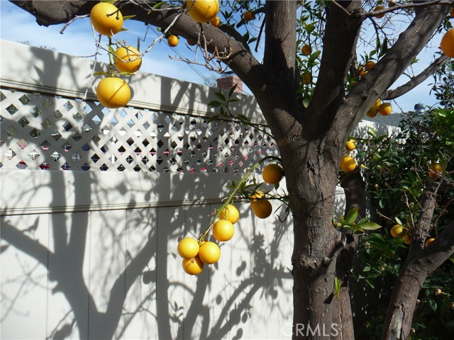 Detail Gallery Image 24 of 24 For 8133 Farralone Ave, Canoga Park,  CA 91304 - 3 Beds | 2 Baths