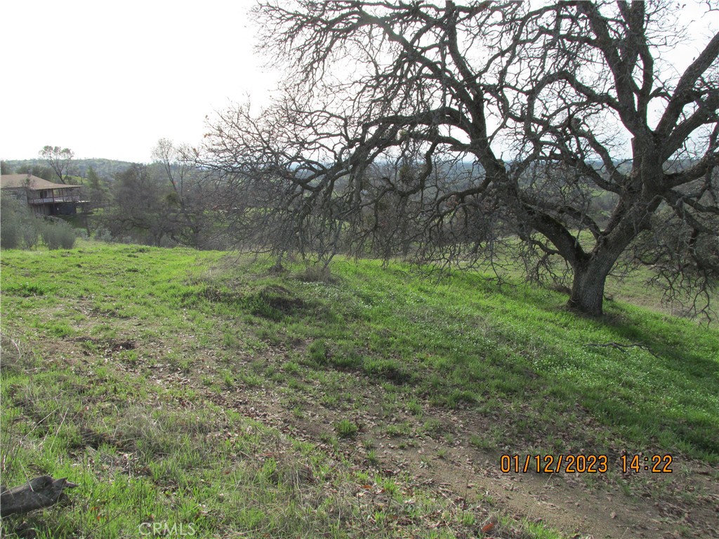 MLS #FR25100553 image #45