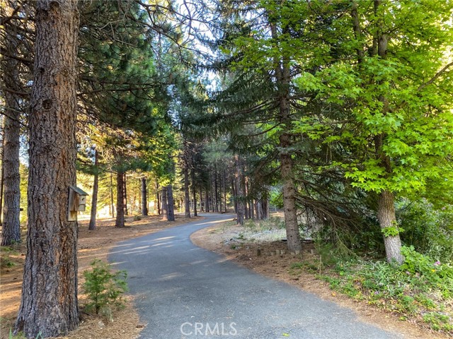 Detail Gallery Image 5 of 65 For 2737 S Old Stage Rd, Mount Shasta,  CA 96067 - 3 Beds | 2/1 Baths