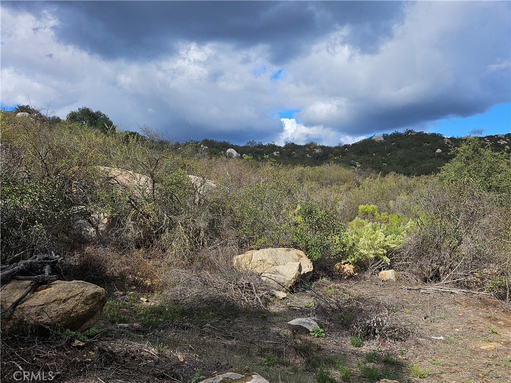 MLS #IV25262613 image #5