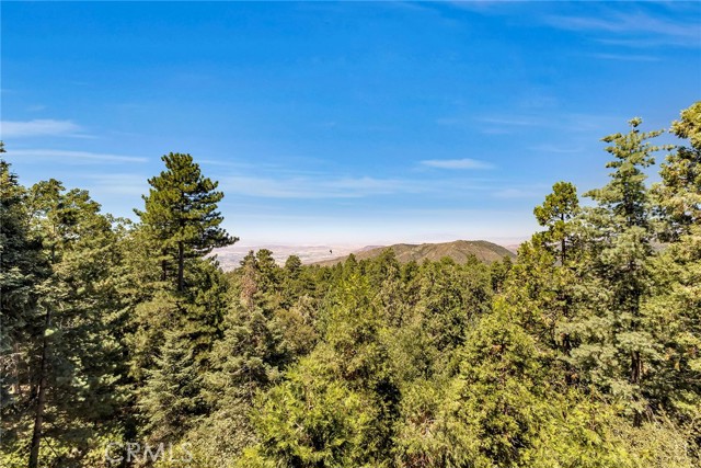 Detail Gallery Image 28 of 73 For 25271 Deer Path Rd, Idyllwild,  CA 92549 - 3 Beds | 3/1 Baths