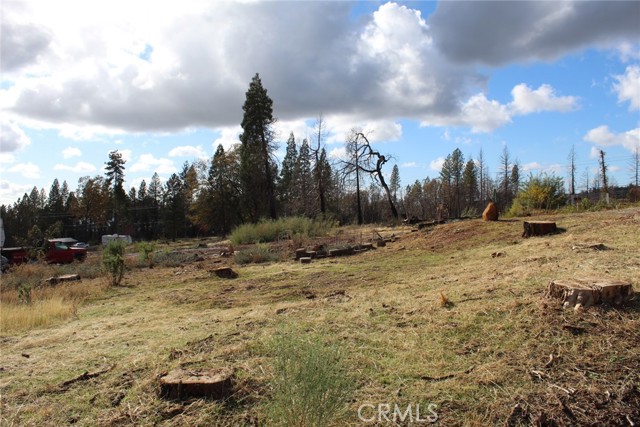 Front Image Thumbnail for CRPA26224607
