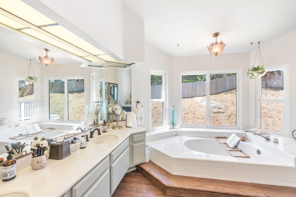 primary bathroom with large bathtub and view.