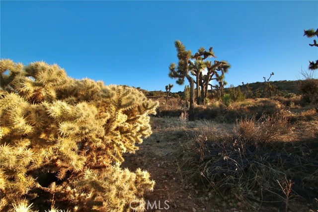 0 Mt View, Yucca Valley, California 92284, ,Land,For Sale,0 Mt View,CRJT20027189