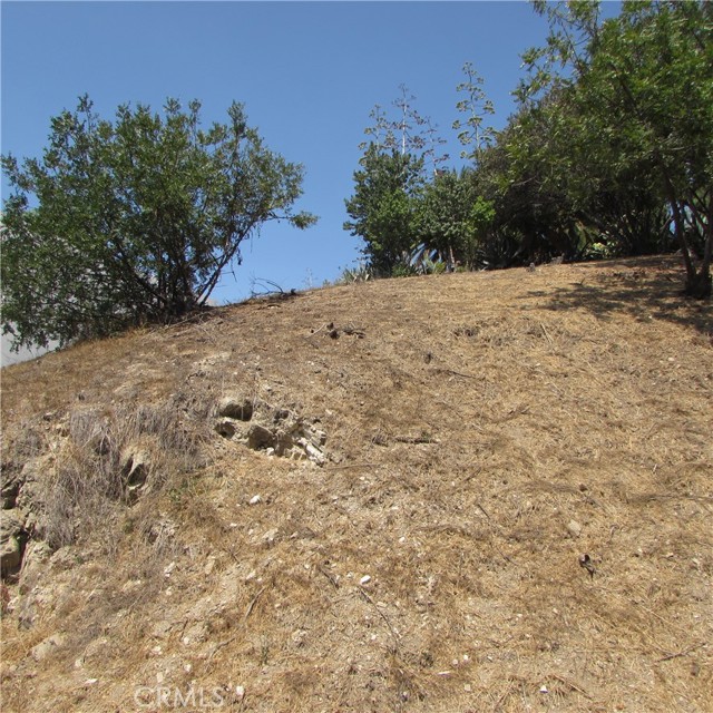 Detail Gallery Image 22 of 41 For 3637 Tacoma, Mount Washington,  CA 90065 - – Beds | – Baths