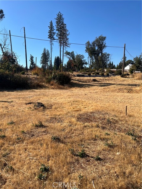 1579 Wagstaff Road, Paradise CA: https://media.crmls.org/medias/317c2214-b7ca-440a-89bb-9bae8449281c.jpg