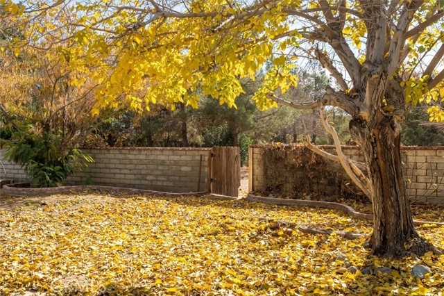 Detail Gallery Image 65 of 65 For 40323 22nd St, Palmdale,  CA 93551 - 3 Beds | 2 Baths