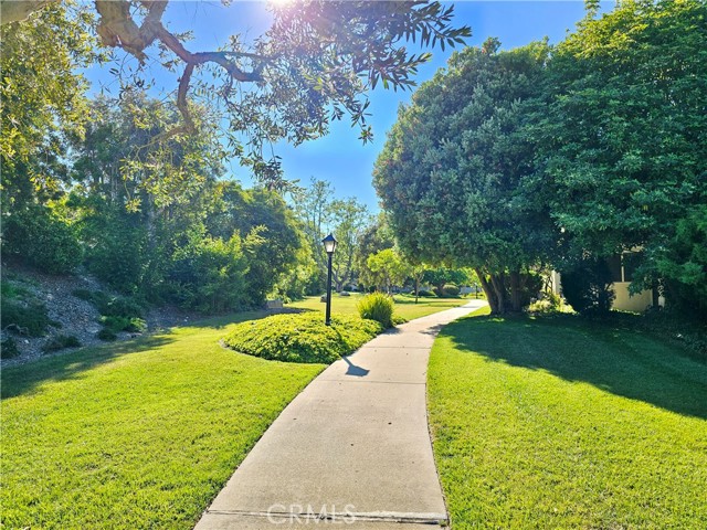 Lush walking trails