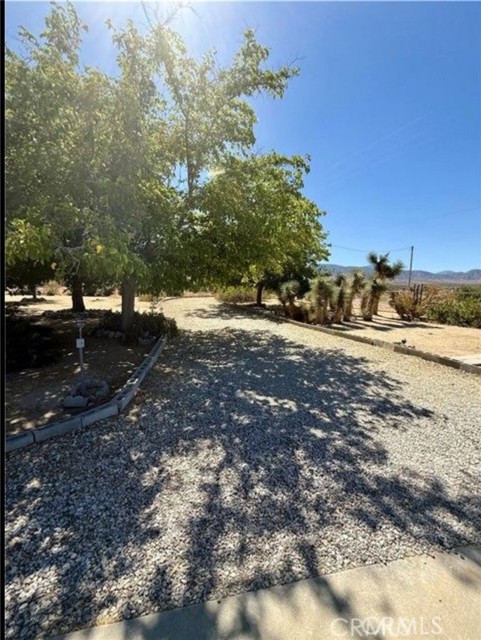 Detail Gallery Image 49 of 53 For 11411 Oasis Rd, Pinon Hills,  CA 92372 - 2 Beds | 2 Baths