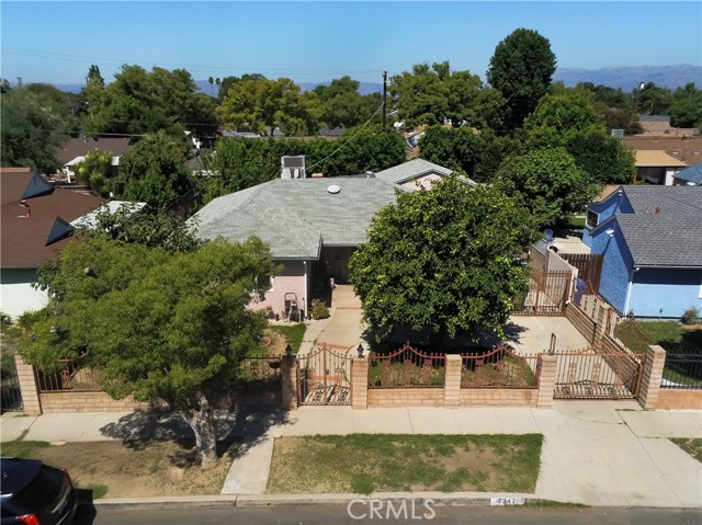 FRONT  VIEW WITH LEMON AND FIG TREES