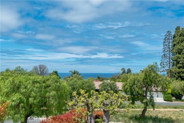 1704 Palos Verdes Drive West, Palos Verdes Estates, California 90274, 4 Bedrooms Bedrooms, ,1 BathroomBathrooms,Residential,For Sale,Palos Verdes Drive West,SB26098754