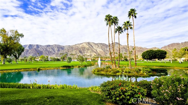 Image 1 for 49025 Cedros CIR