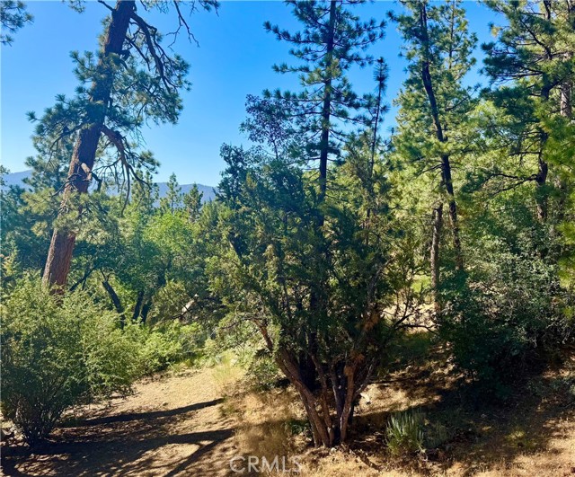810 Villa Grove Avenue, Big Bear City CA: https://media.crmls.org/medias/3194b188-0742-48c3-8a87-dc9316ffb95c.jpg