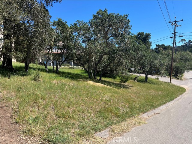 Front Image Thumbnail for CRSC26045964