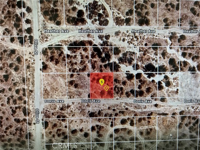 Front Image Thumbnail for CRPW26088925