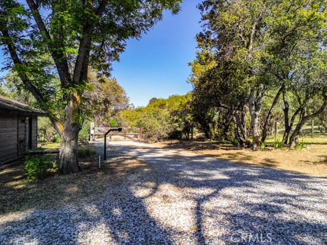 Detail Gallery Image 48 of 71 For 38180 Paradise Dr, Mountain Center,  CA 92561 - 3 Beds | 2/1 Baths