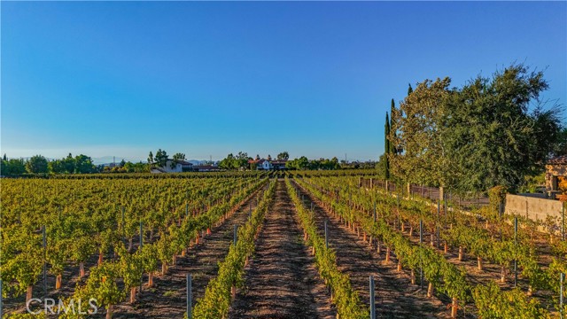 Detail Gallery Image 69 of 75 For 34965 via Del Ponte, Temecula,  CA 92592 - 3 Beds | 3/1 Baths