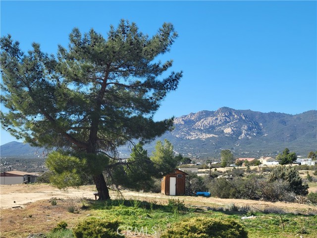 Front Image Thumbnail for CRSW26033553